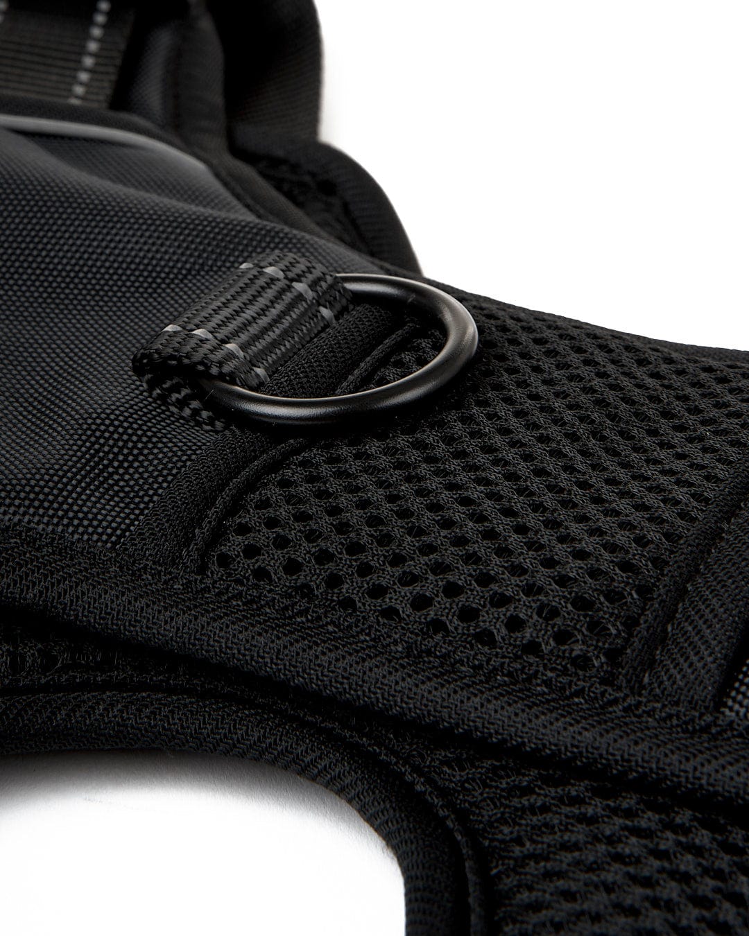 Branded Pet Harness in Black - Image 6