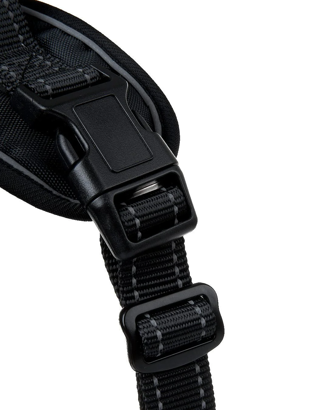 Branded Pet Harness in Black - Image 7