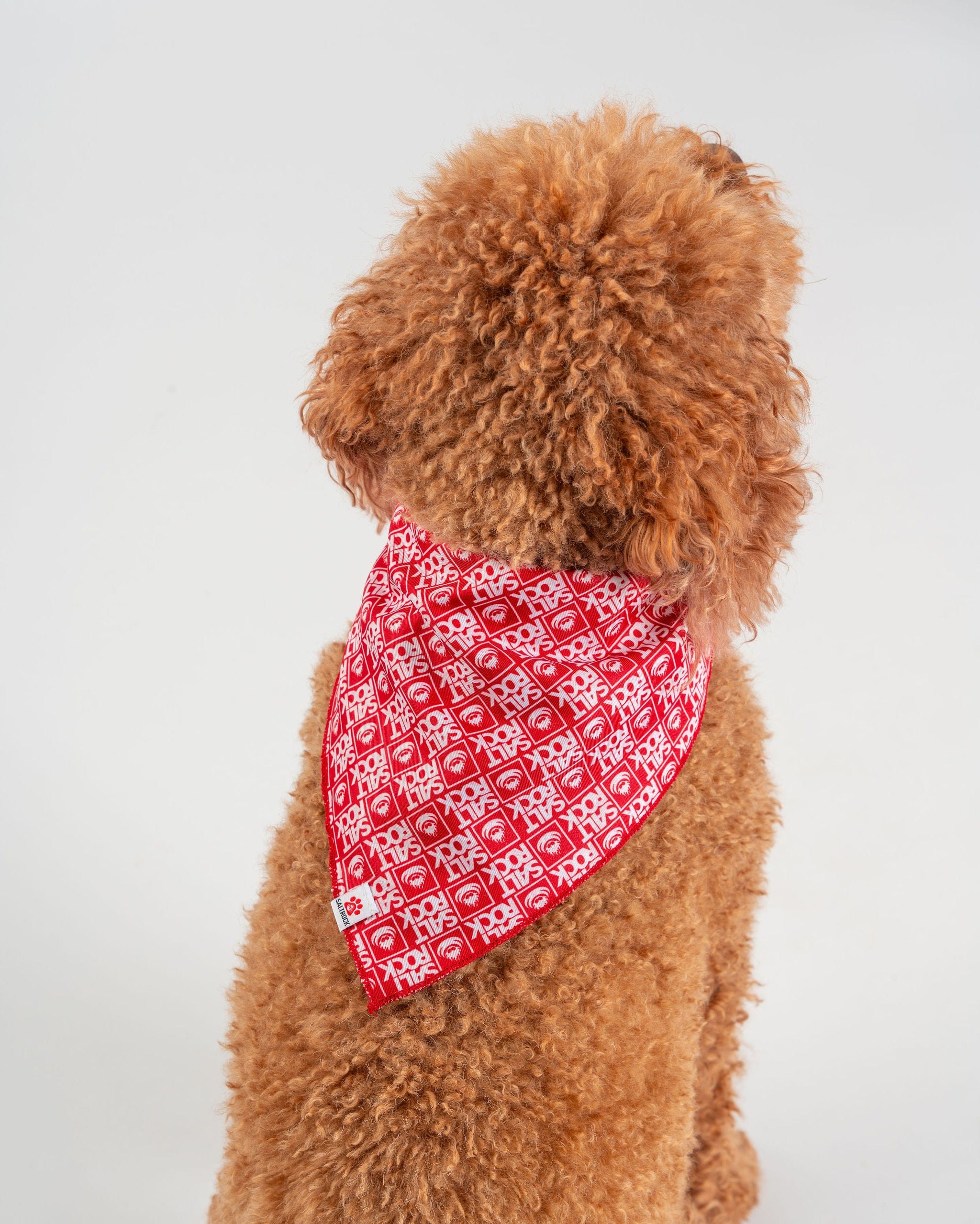Corp Pet Bandana in Red - Image 2