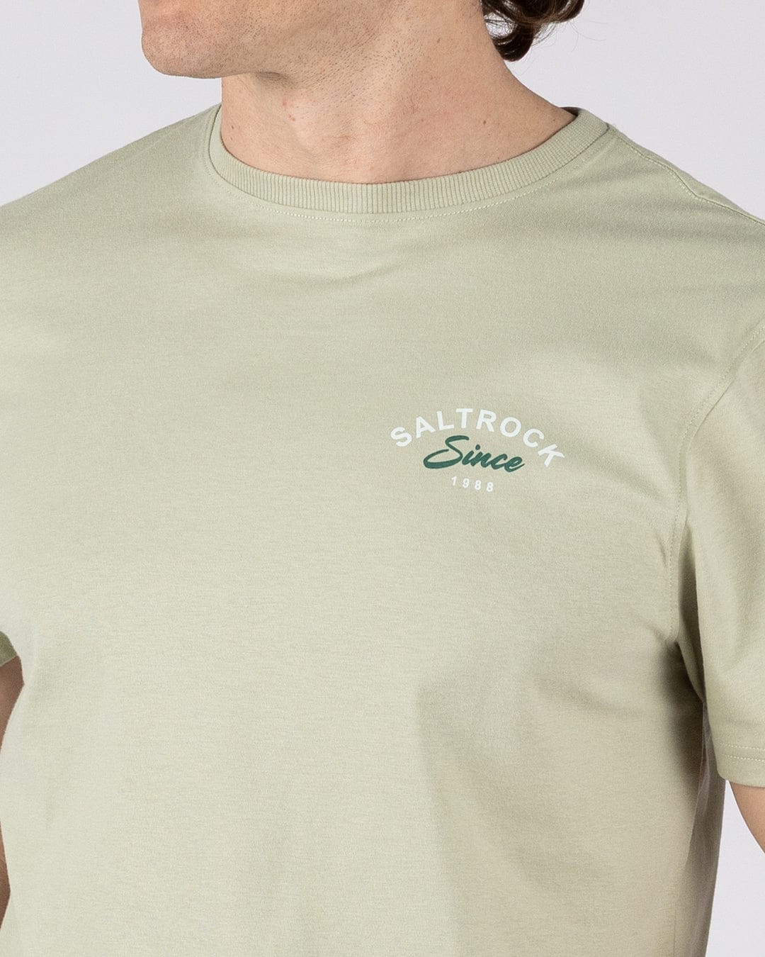 Deep Sea Flame Devon  Mens Short Sleeve T-shirt in Light Green - Image 4