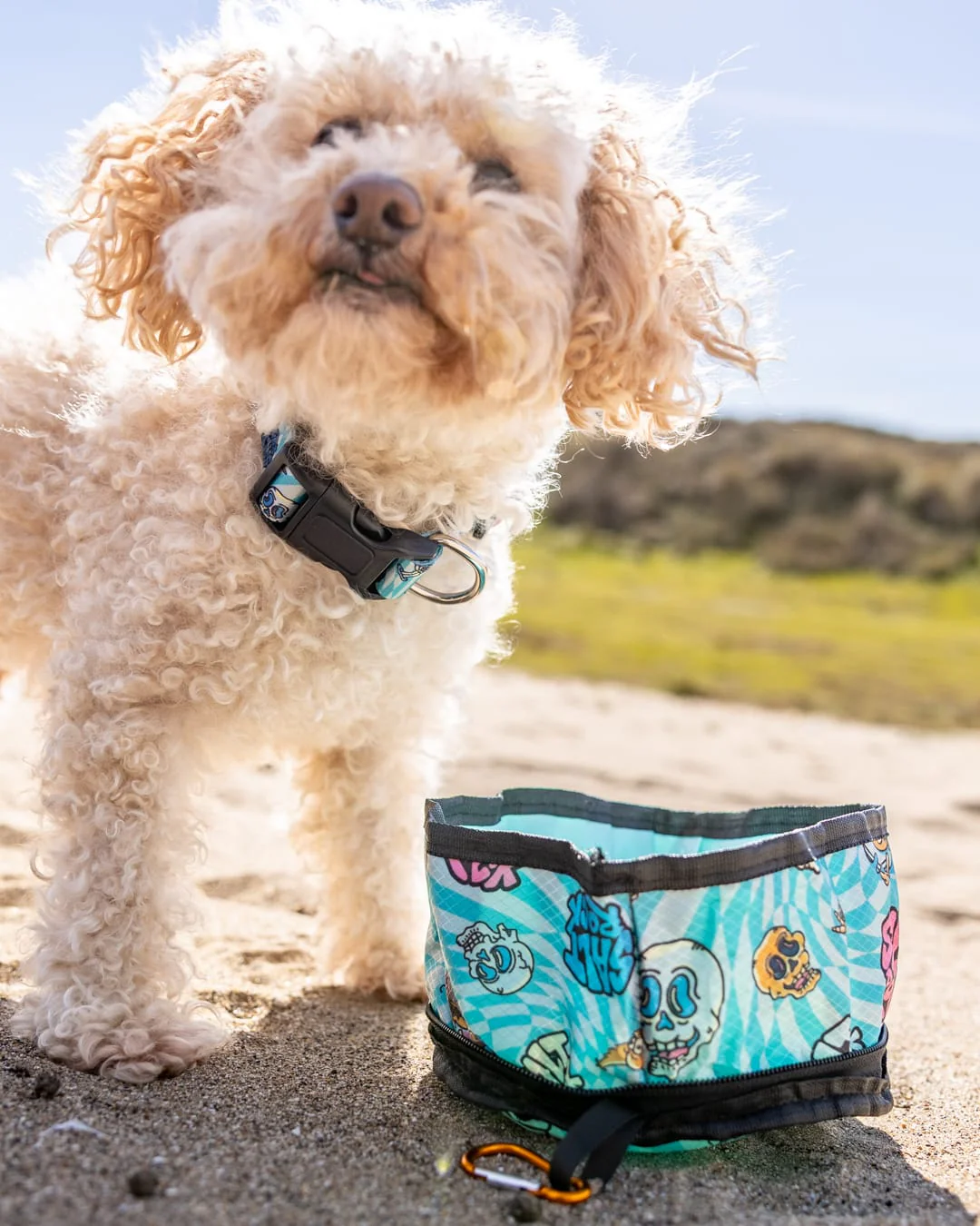 Lush Waves Pet packable bowl in Blue - Image 3